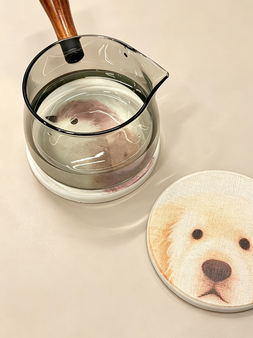 Cute Puppy & Bird Diatomite Coasters Set of 2 - Absorbent Round Drink Coasters 10cm