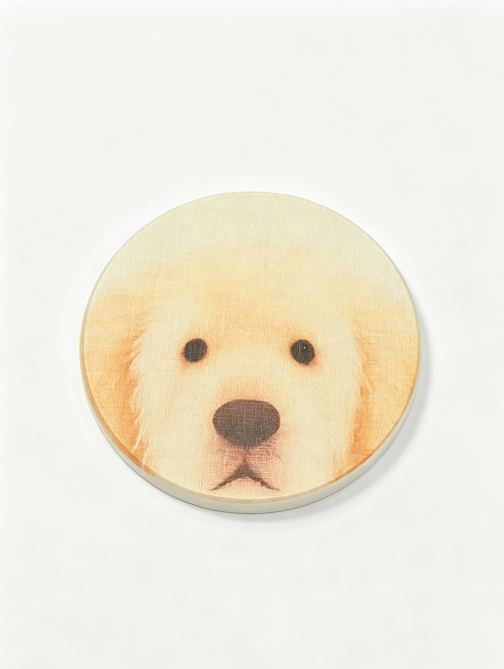 Cute Puppy & Bird Diatomite Coasters Set of 2 - Absorbent Round Drink Coasters 10cm