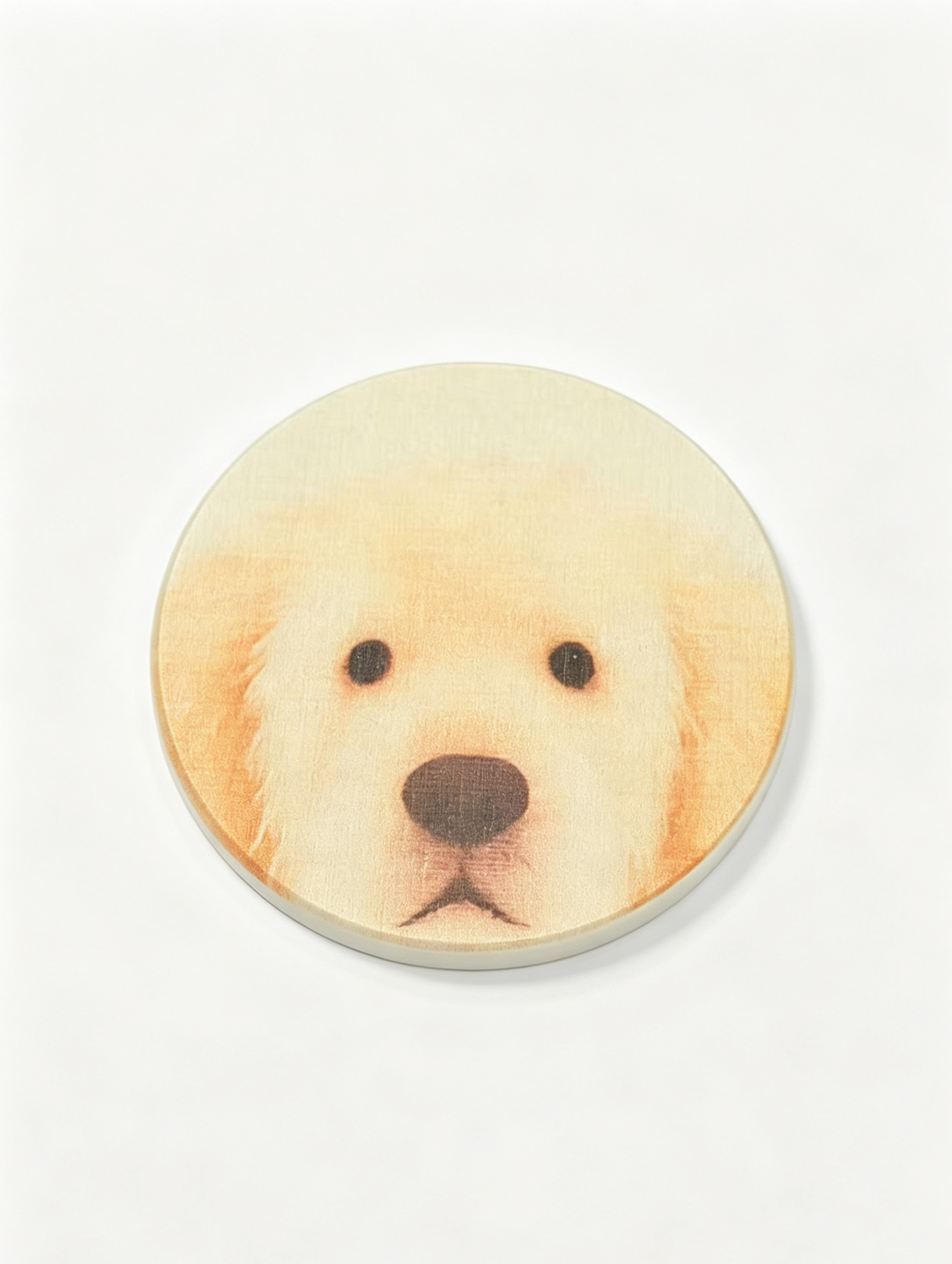 Cute Puppy & Bird Diatomite Coasters Set of 2 - Absorbent Round Drink Coasters 10cm